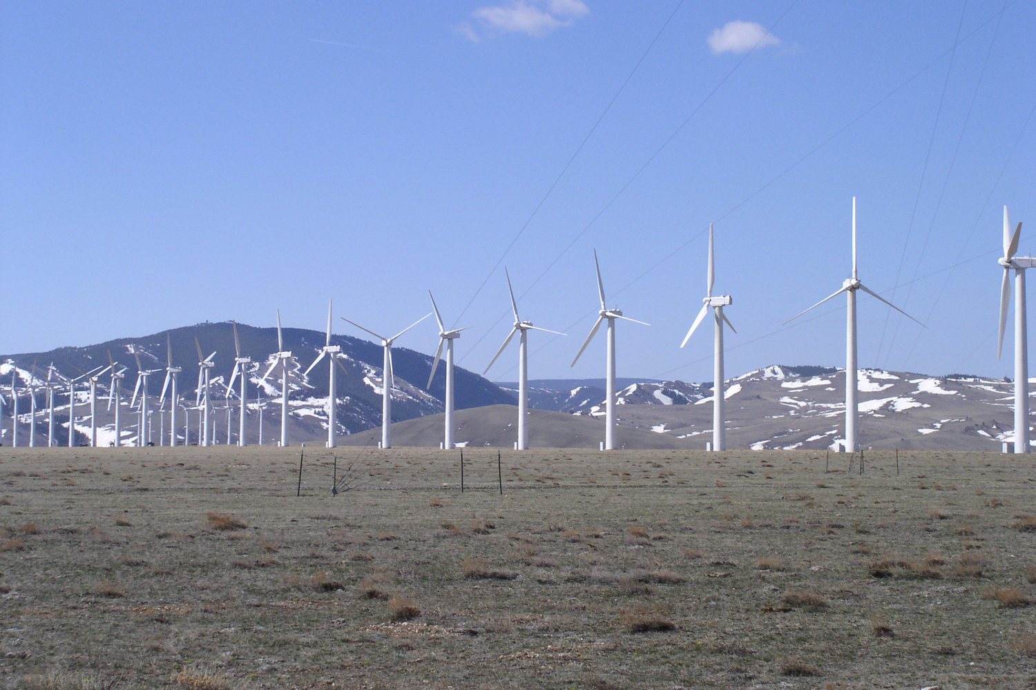 Rows of white wind turbines standing on a dry range flat below snow patched hills under a clear blue sky.