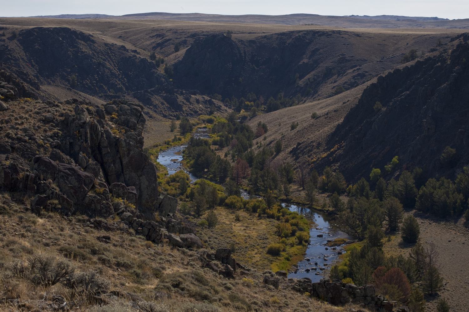 A dark rock canyon cut through open sagebrush country with a thin river winding between scattered green trees on the floor.